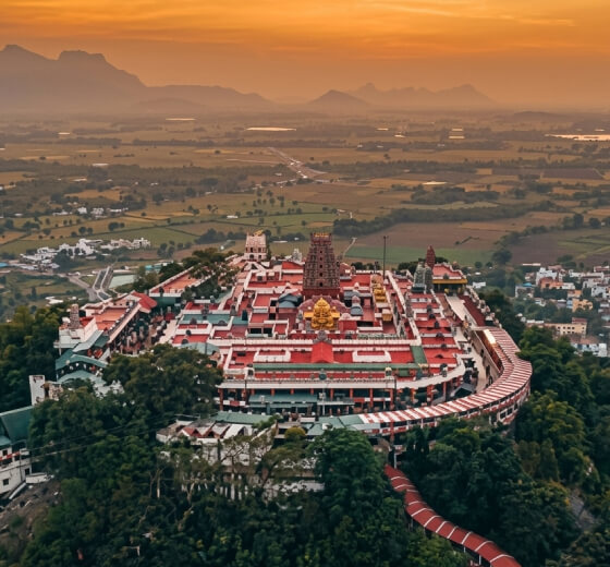 palani-top palani-top
